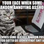 Annoyed Designer Cat | YOUR FACE WHEN SOME RANDOM ANNOYING ASSHOLE; REVIVES SOME OLD ASS RANDOM POST AND YOU GOTTA GO LOOK AT THAT SHIT AGAIN | image tagged in annoyed designer cat | made w/ Imgflip meme maker
