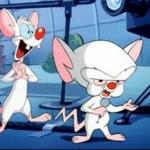 Pinky y Cerebro