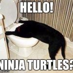 Sick Puppy | HELLO! NINJA TURTLES? | image tagged in sick puppy | made w/ Imgflip meme maker
