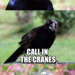 bad pun crow | YOU KNOW WHAT WE DO WHEN ITS TIME FOR HEAVY LIFTING? CALL IN THE CRANES | image tagged in bad pun crow | made w/ Imgflip meme maker