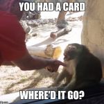 Befuddled Baboon | YOU HAD A CARD; WHERE'D IT GO? | image tagged in befuddled baboon | made w/ Imgflip meme maker