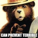 smokey the bear | ONLY YOU; CAN PREVENT TERRIBLE MEMES FROM MAKING THE FRONT PAGE | image tagged in smokey the bear | made w/ Imgflip meme maker