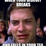 Toby McGuire Tears | WHEN YOUR BISCUIT BREAKS; AND FALLS IN YOUR TEA | image tagged in toby mcguire tears | made w/ Imgflip meme maker