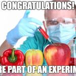 GMO trumps your rights | CONGRATULATIONS! YOU'RE PART OF AN EXPERIMENT! | image tagged in gmo fruits vegetables | made w/ Imgflip meme maker
