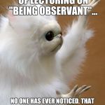 Persian Cat Room Guardian | IN ALL MY YEARS OF LECTURING ON "BEING OBSERVANT"... NO ONE HAS EVER NOTICED, THAT AS A "PERSIAN CAT", I HAVE FINGERS, AND OPPOSABLE THUMBS!!! | image tagged in persian cat room guardian | made w/ Imgflip meme maker