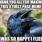 Bad Pun Crow Crying | THANK YOU ALL FOR MAKING THIS A FIRST PAGE MEME; I WAS SO HAPPY I FLIED | image tagged in bad pun crow crying | made w/ Imgflip meme maker