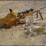 Fox with rifle