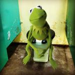Kermit Public Toilet meme