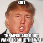 Donald Trump | SHIT; THE MEXICANS DON'T WANT TO BUILD THE WALL | image tagged in donald trump | made w/ Imgflip meme maker
