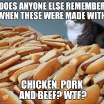 Cat Hot Dogs | DOES ANYONE ELSE REMEMBER WHEN THESE WERE MADE WITH;; CHICKEN, PORK AND BEEF? WTF? | image tagged in cat hot dogs | made w/ Imgflip meme maker
