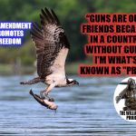 Osprey with catfish | 2ND AMENDMENT PROMOTES FREEDOM; “GUNS ARE OUR FRIENDS BECAUSE IN A COUNTRY WITHOUT GUNS, I'M WHAT'S KNOWN AS "PREY." | image tagged in osprey with catfish | made w/ Imgflip meme maker