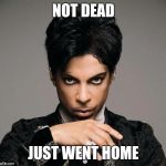 PrinceInsitu | NOT DEAD; JUST WENT HOME | image tagged in princeinsitu | made w/ Imgflip meme maker