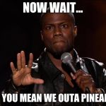 KEVIN HEART | NOW WAIT... WHAT YOU MEAN WE OUTA PINEAPPLES | image tagged in kevin heart | made w/ Imgflip meme maker