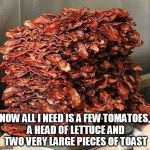 Bacon | NOW ALL I NEED IS A FEW TOMATOES, A HEAD OF LETTUCE AND TWO VERY LARGE PIECES OF TOAST | image tagged in bacon | made w/ Imgflip meme maker