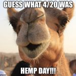 Hump day | GUESS WHAT 4/20 WAS; HEMP DAY!!! | image tagged in hump day | made w/ Imgflip meme maker