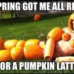 PumpkinSpice | IL SPRING GOT ME ALL READY; FOR A PUMPKIN LATTE | image tagged in pumpkinspice | made w/ Imgflip meme maker