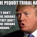 Trump | ON THE PEQUOT TRIBAL NATION; "THEY DON'T LOOK LIKE INDIANS TO ME. THEY DON'T LOOK LIKE INDIANS TO INDIANS." | image tagged in trump | made w/ Imgflip meme maker