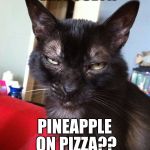 Monkster_Seriously  | SERIOUSLY!? PINEAPPLE ON PIZZA?? | image tagged in monkster_seriously | made w/ Imgflip meme maker