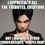 PrinceInsitu | I APPRECIATE ALL THE TRIBUTES, EVERYONE; BUT I DID WRITE OTHER SONGS BESIDES "PURPLE RAIN" | image tagged in princeinsitu | made w/ Imgflip meme maker