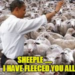 obama's sheeple | SHEEPLE .....      I HAVE FLEECED YOU ALL | image tagged in obama,democrats | made w/ Imgflip meme maker