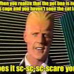 Max Headroom does it sc-sc-sc-scare you? | When you realize that the pet boa is not in its cage and you haven't seen the cat lately; Does it sc-sc-sc-scare you? | image tagged in max headroom does it sc-sc-sc-scare you | made w/ Imgflip meme maker