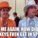 dumb and dumber | TELL ME AGAIN, HOW DID THE MONKEYS EVEN GET IN SPACE ? | image tagged in dumb and dumber | made w/ Imgflip meme maker