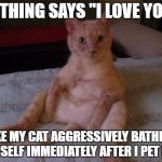 cat love | NOTHING SAYS "I LOVE YOU" LIKE MY CAT AGGRESSIVELY BATHING HIMSELF IMMEDIATELY AFTER I PET HIM. | image tagged in memes,cat,i love you,petting | made w/ Imgflip meme maker