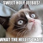 Grumpy Cat What the Hell.....? | SWEET HOLY JEEBUS! WHAT THE HELL IS THAT? | image tagged in grumpy cat | made w/ Imgflip meme maker