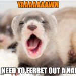 Ferret sleepy | YAAAAAAAWN; I NEED TO FERRET OUT A NAP | image tagged in ferret sleepy | made w/ Imgflip meme maker