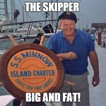 skipper | THE SKIPPER; BIG AND FAT! | image tagged in skipper | made w/ Imgflip meme maker