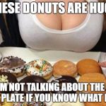 Oh Wow! Doughnuts! | THESE DONUTS ARE HUGE; AND IM NOT TALKING ABOUT THE ONES IN THE PLATE IF YOU KNOW WHAT I MEAN | image tagged in oh wow doughnuts | made w/ Imgflip meme maker