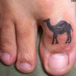 Camel Toe