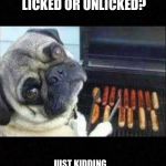 How do you like yours? | DO YOU WANT YOURS LICKED OR UNLICKED? JUST KIDDING... THEY'RE ALL LICKED | image tagged in blank,pugs,memes,funny | made w/ Imgflip meme maker