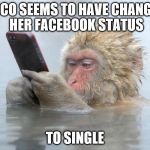 monkey in a hot tub with iphone | COCO SEEMS TO HAVE CHANGED HER FACEBOOK STATUS; TO SINGLE | image tagged in monkey in a hot tub with iphone | made w/ Imgflip meme maker