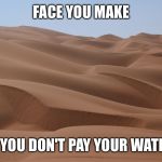 Desert Puns | FACE YOU MAKE; WHEN YOU DON'T PAY YOUR WATER BILL | image tagged in desert puns | made w/ Imgflip meme maker