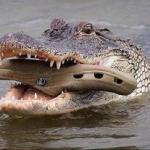 Crocs bonding meme