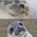 Short Satisfaction VS Truth | YOU TURN 18 AND FINALLY GET TO VOTE IN A PRESIDENTIAL ELECTION; YOU SEE THE CANDIDATES | image tagged in memes,short satisfaction vs truth | made w/ Imgflip meme maker