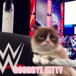 wwwe grumpy cat | GOODBYE KITTY | image tagged in wwwe grumpy cat,memes,hello kitty,funny cat memes,grumpy cat | made w/ Imgflip meme maker