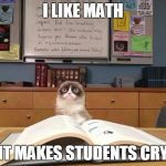 Grumpy cat studying | I LIKE MATH; IT MAKES STUDENTS CRY | image tagged in grumpy cat studying,memes,grumpy cat | made w/ Imgflip meme maker