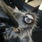 Sloth Driver