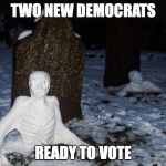 GRAVEYARD | TWO NEW DEMOCRATS; READY TO VOTE | image tagged in graveyard | made w/ Imgflip meme maker