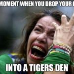 Wallahi Memes | THAT MOMENT WHEN YOU DROP YOUR PHONE; INTO A TIGERS DEN | image tagged in wallahi memes,memes | made w/ Imgflip meme maker