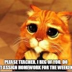 Puss in Boots | PLEASE TEACHER. I BEG OF YOU. DO NOT ASSIGN HOMEWORK FOR THE WEEKEND... | image tagged in puss in boots | made w/ Imgflip meme maker