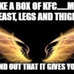 Wings | LIFE IS LIKE A BOX OF KFC......MEN WANT THE BREAST, LEGS AND THIGHS............ AND YA FIND OUT THAT IT GIVES YOU WINGS | image tagged in wings | made w/ Imgflip meme maker