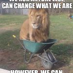 Motivational quote lion Meme Generator - Imgflip