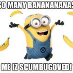 Minion chiq.banana | SO MANY BANANANANAS; ME IZ SCUMBUGOVED! | image tagged in minion chiqbanana | made w/ Imgflip meme maker