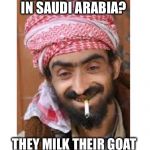 Comic of the casbah | WHAT IS FOREPLAY; IN SAUDI ARABIA? THEY MILK THEIR GOAT BEFORE SCREWING IT | image tagged in comic of the casbah,successful arab guy,arab,saudi,sexy | made w/ Imgflip meme maker