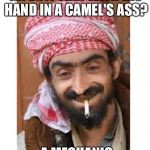 Comic of the casbah | WHAT DO YOU CALL AN EGYPTIAN WITH HIS HAND IN A CAMEL'S ASS? A MECHANIC | image tagged in comic of the casbah,successful arab guy,arab,saudi | made w/ Imgflip meme maker