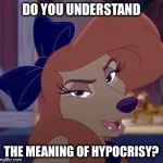 Do You Understand The Meaning Of Hypocrisy  | DO YOU UNDERSTAND; THE MEANING OF HYPOCRISY? | image tagged in dixie,memes,disney,the fox and the hound 2,reba mcentire,dog | made w/ Imgflip meme maker