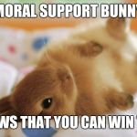 Bunny | MORAL SUPPORT BUNNY; KNOWS THAT YOU CAN WIN THIS | image tagged in bunny | made w/ Imgflip meme maker
